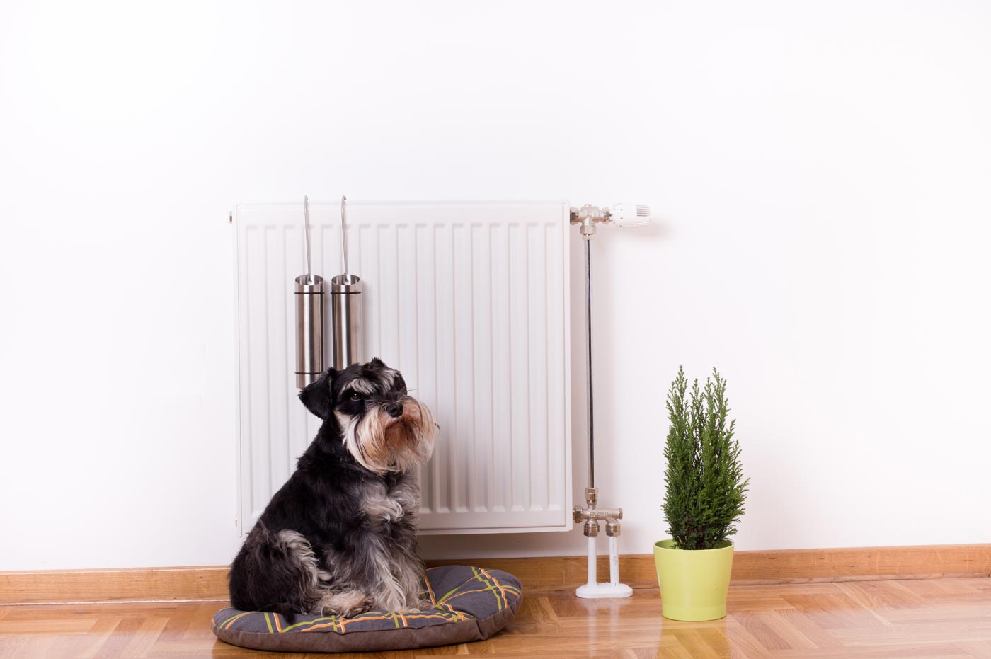 Citywide Gas provide Gas Central Hearing Servicing, Installation & Repairs to Edinburgh, Lothians & Fife.